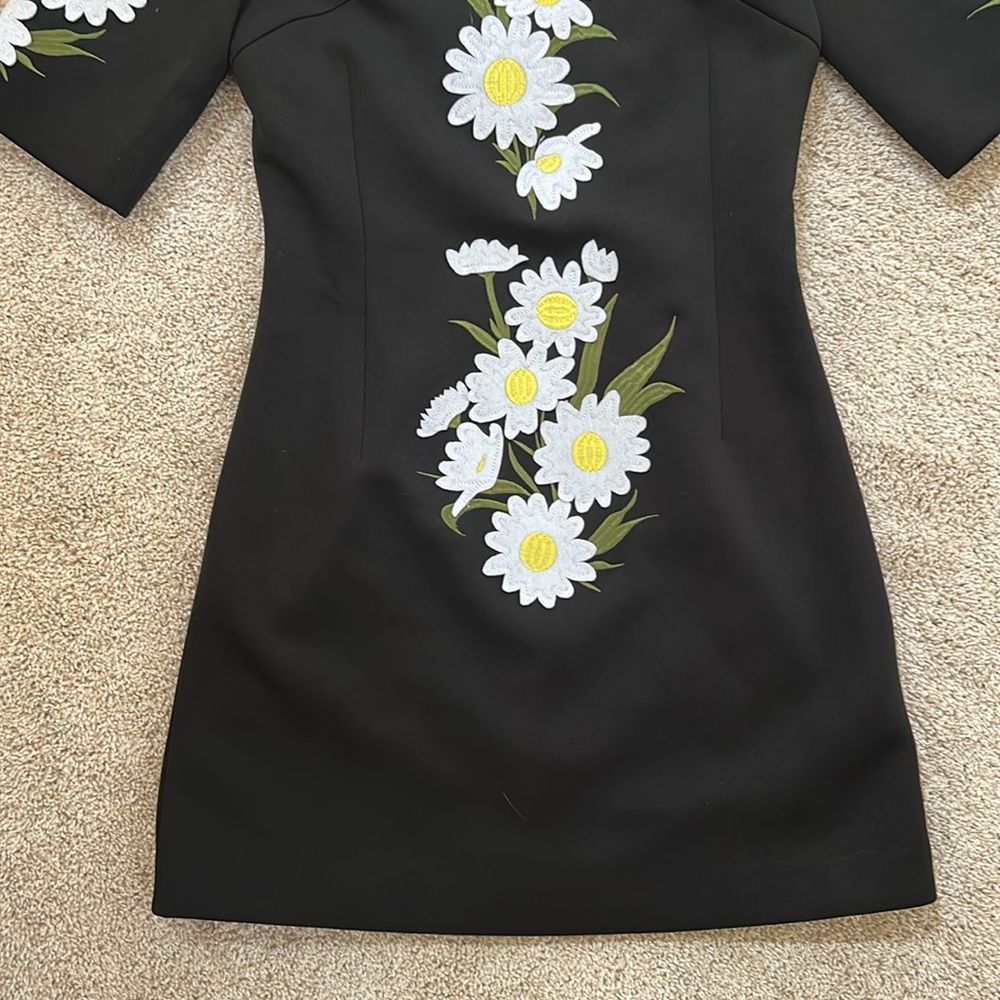 Few Moda Daisy Embroidered Dress - Picture 6 of 11